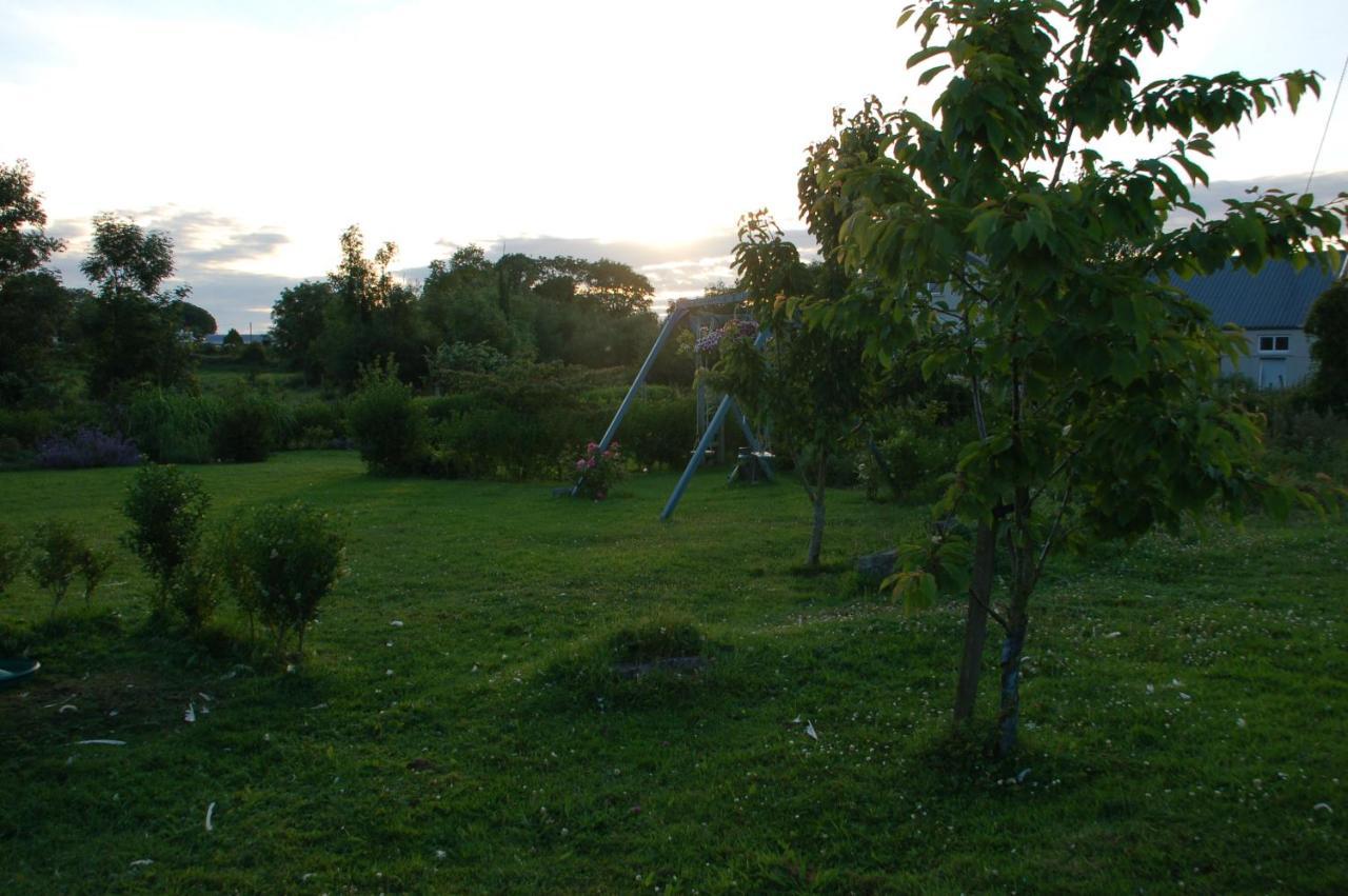 Bed and Breakfast The Little Flock Farm Cloonmore Exterior foto
